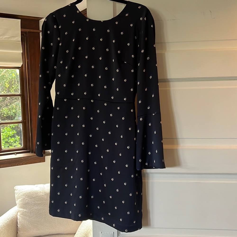 Long sleeved mini dress